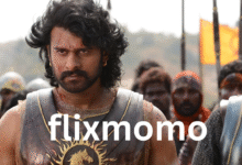 flixmomo