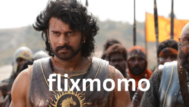 flixmomo